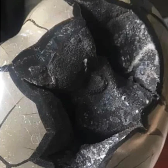 X-Large septarian dragon heart